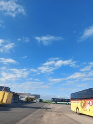 Waldzell