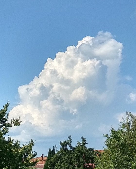 Felsőtárkány