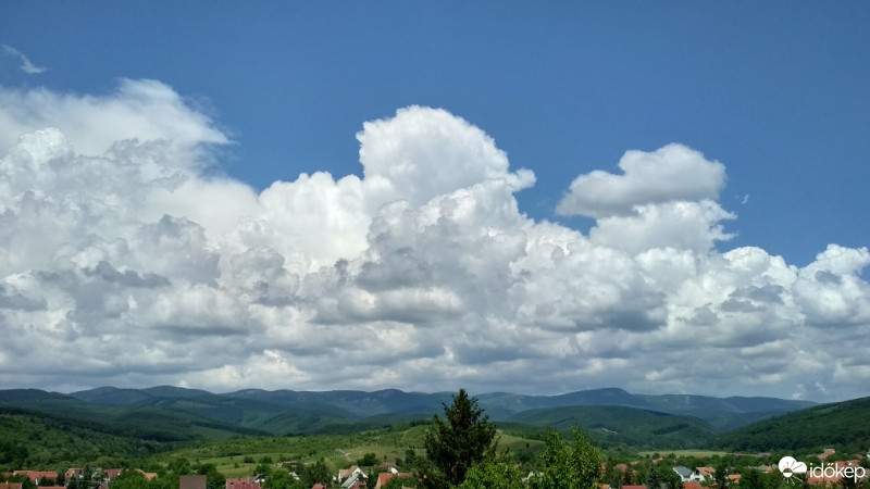 Felsőtárkány
