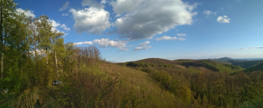 Felsőtárkány