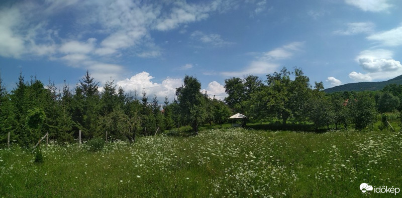 Felsőtárkány