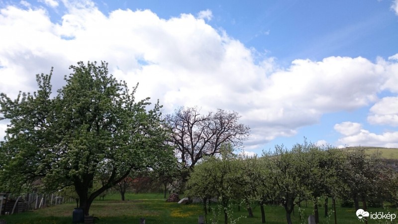 Felsőtárkány