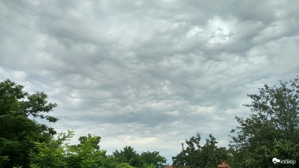 Felsőtárkány