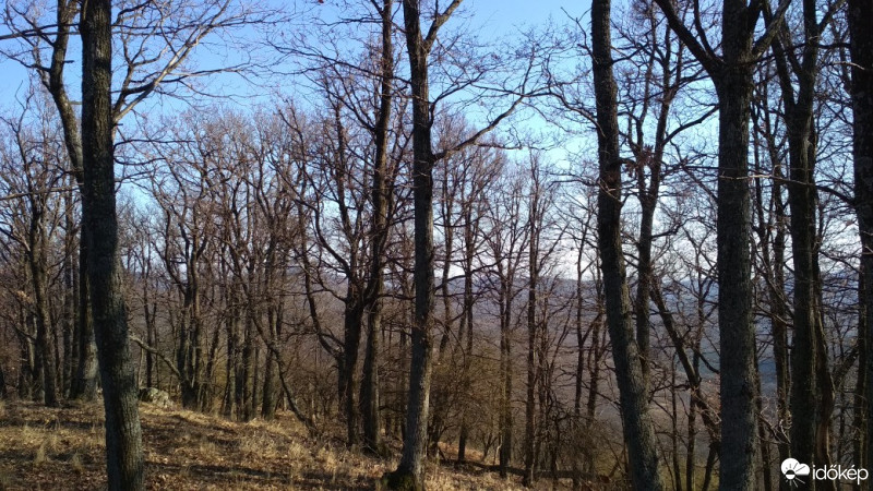 Felsőtárkány