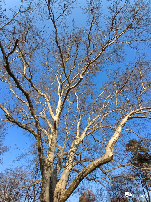 fő a szerénység! ja, nem..