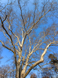 fő a szerénység! ja, nem..