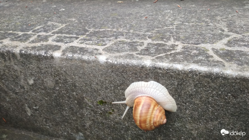 Nem is ide akartam jönni..