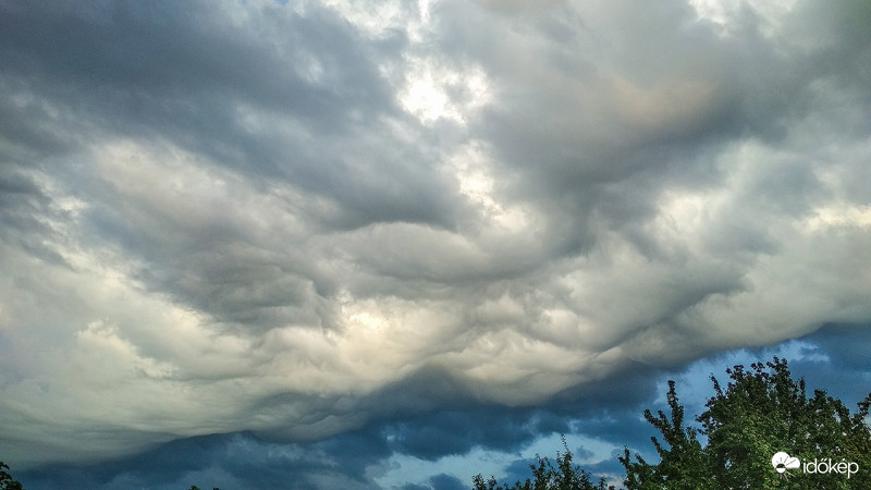 Asperatus reggelire