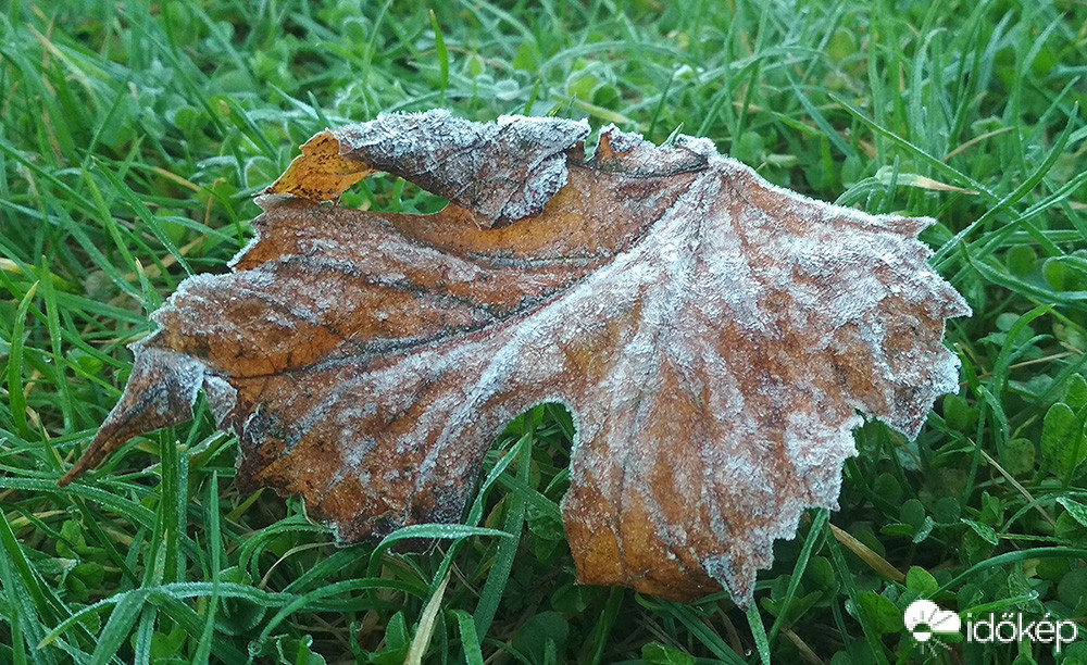 Fagyos a reggel
