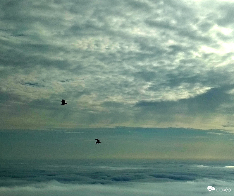 párosan szép az élet 