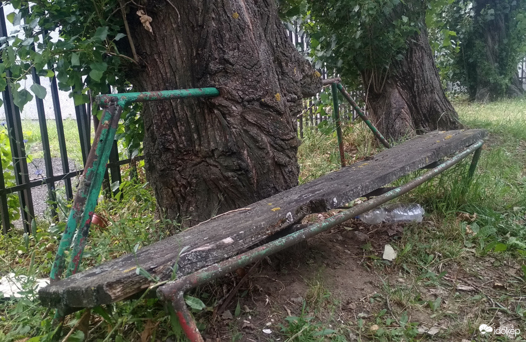pad a parkban 