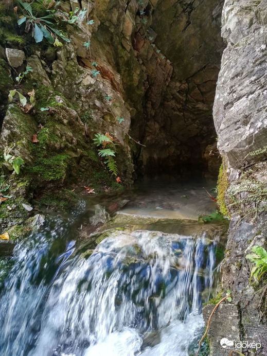 forrásbarlang 