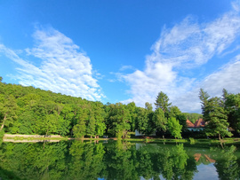 Felsőtárkány