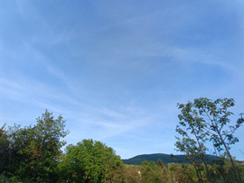 Felsőtárkány