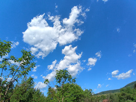 Felsőtárkány