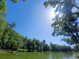 Felsőtárkány