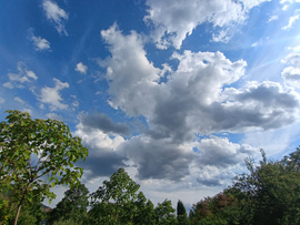 Felsőtárkány
