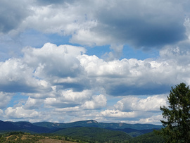 Felsőtárkány