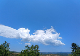 Felsőtárkány