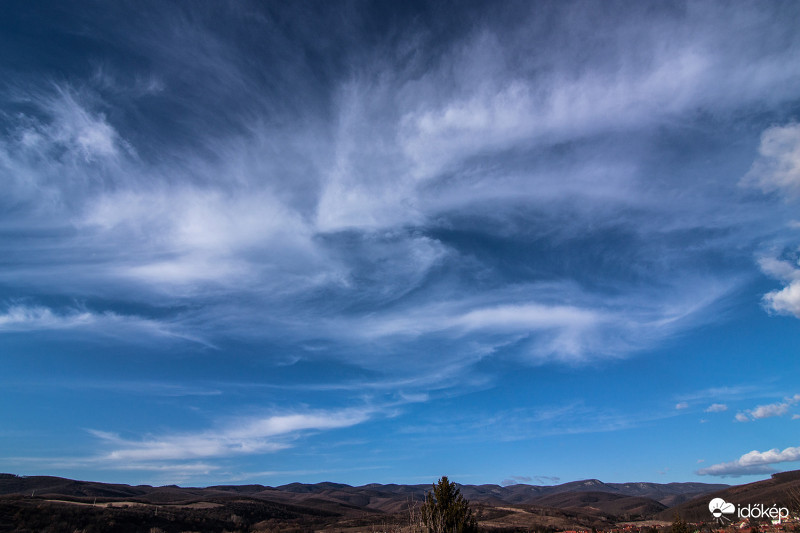 Cirrus maximus :-)