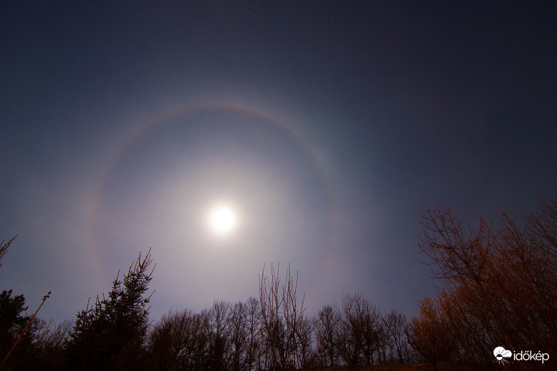 Tavaszi halo