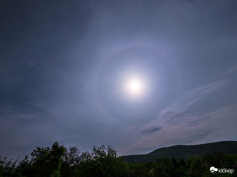 halokörös délelőtt