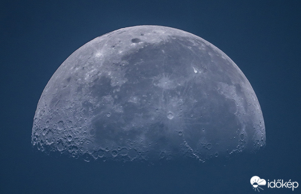 Hold reggelire