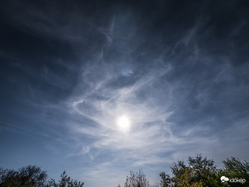 Cirrus-lobonc