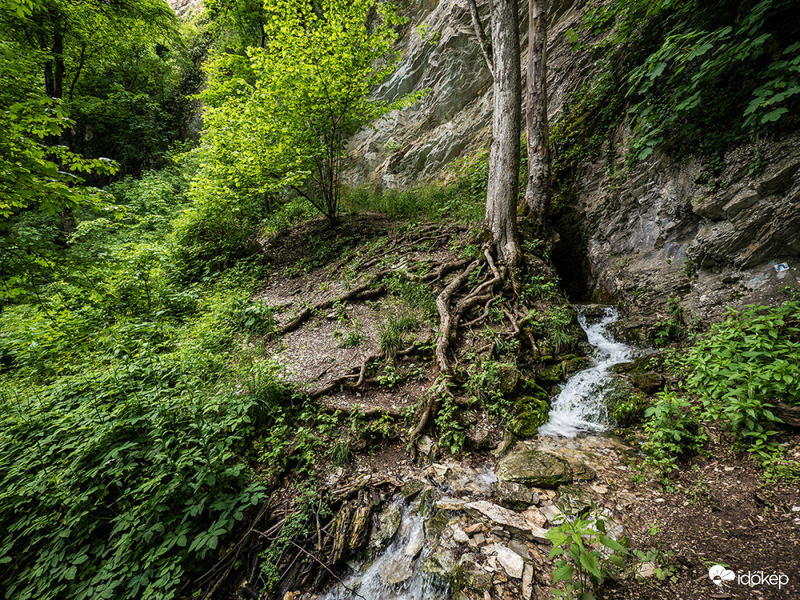 Imó-kő forrás