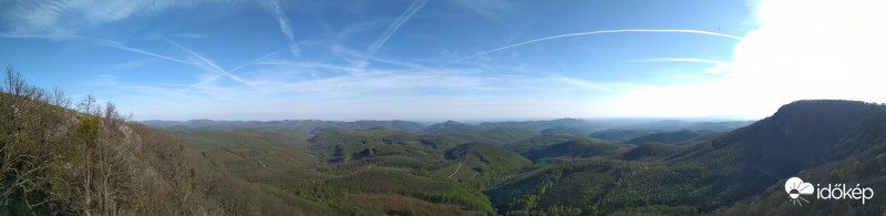 Zöldség