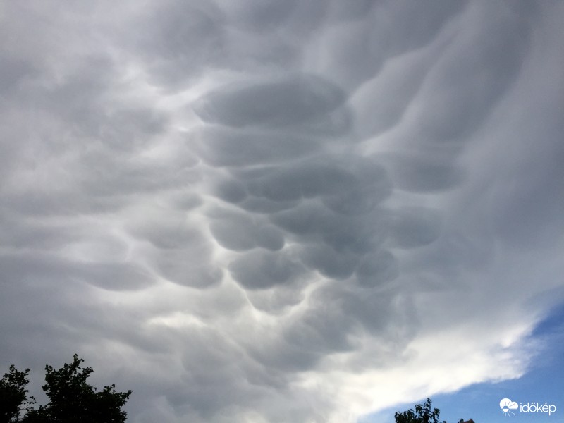 Mammatus