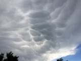 Mammatus