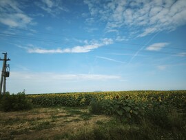 Balatonboglár