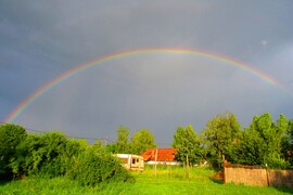 Szépség 