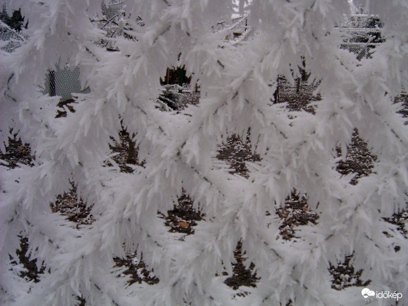 Zúzmara a javából!