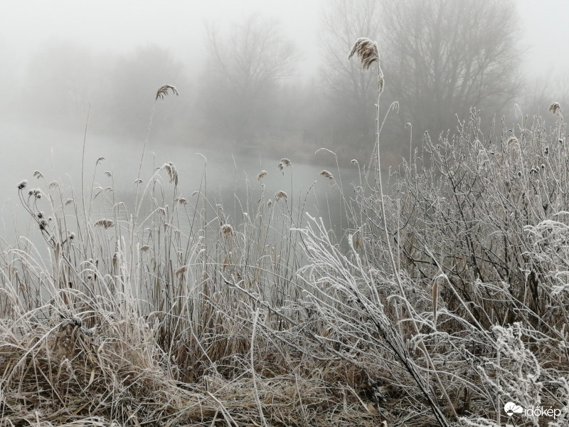 Ködös tópart