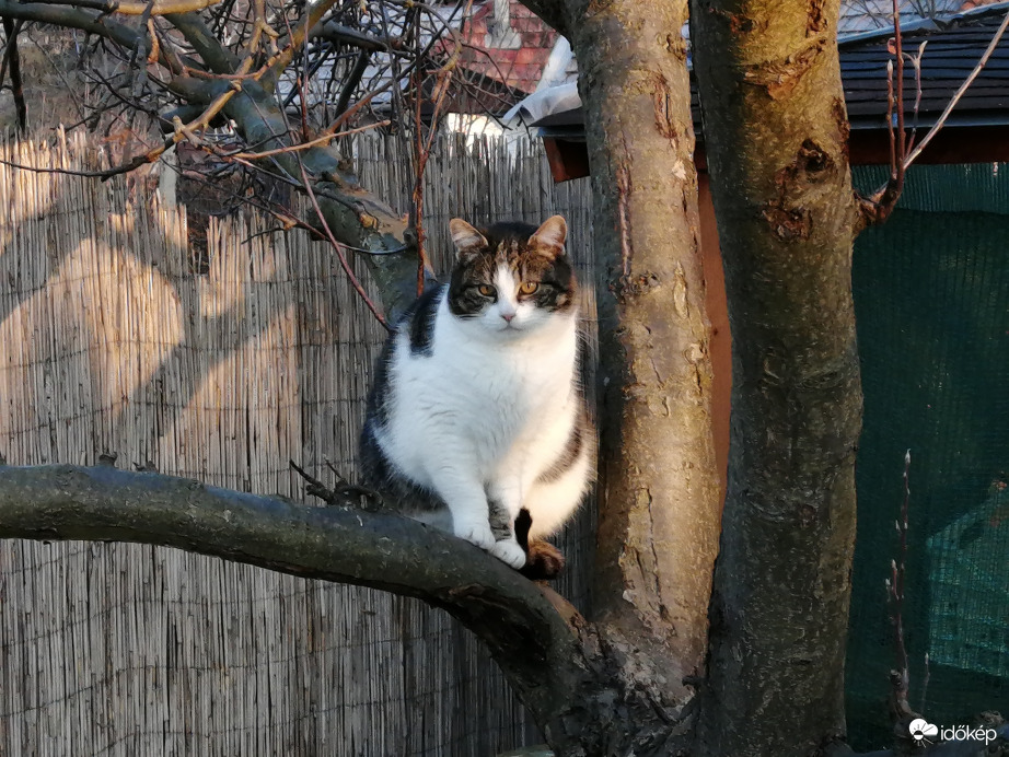 Valaki mindig vár otthon