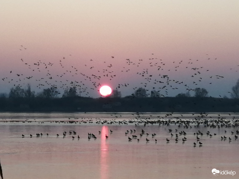 Vadrécés napnyugta
