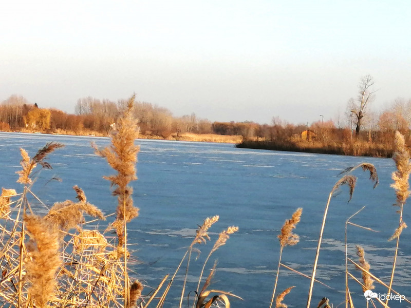 Februári napsütésben 