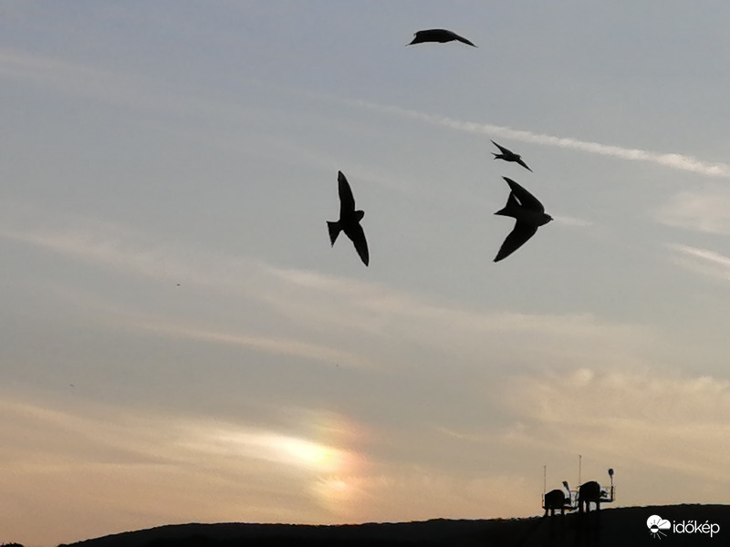 Naphaló fecskékkel