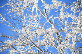 Csipkefüggöny a magasban