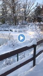 Gyöngyös, Orczy-kert