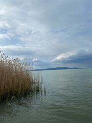 Balatonfenyves