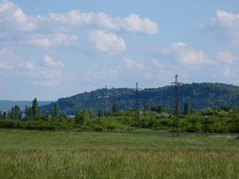ciccorp fotója