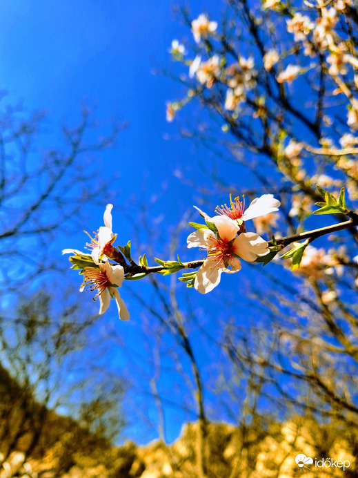 Budapest II.ker - Pasarét