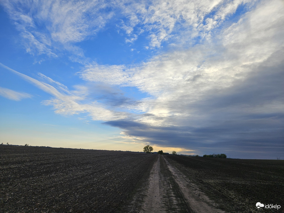Borota
