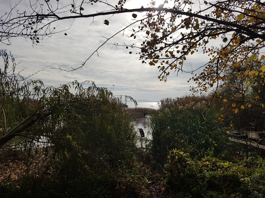 Balatonakali