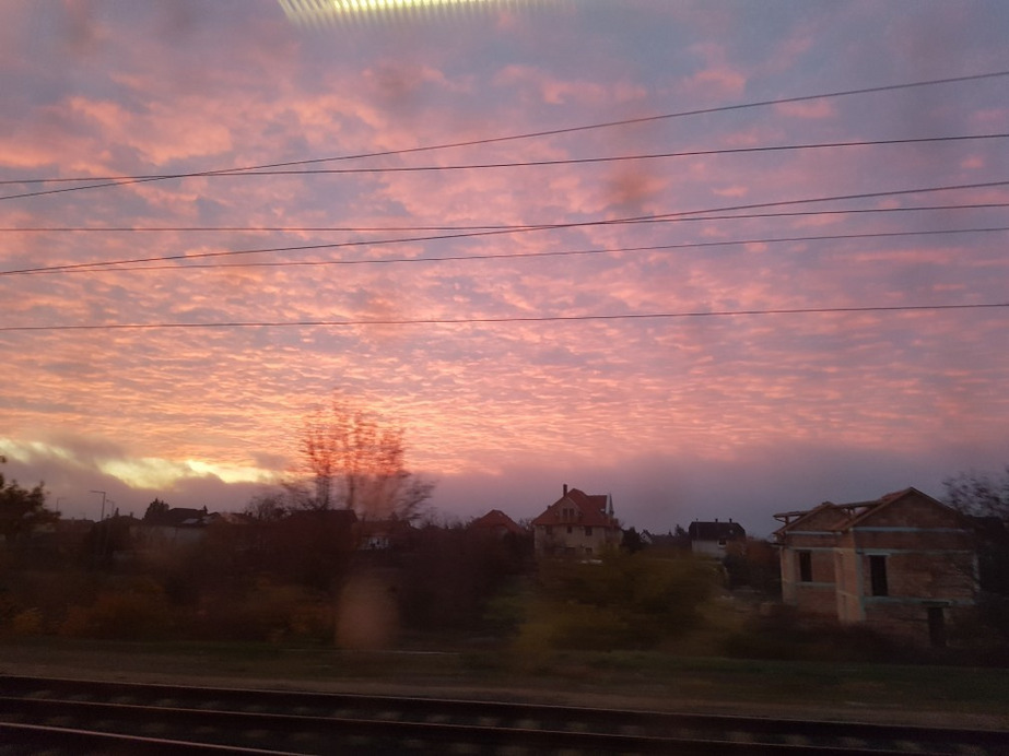 Aszófő
