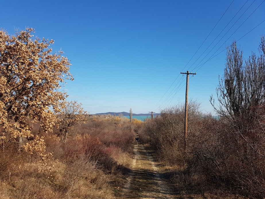 Balatonakali