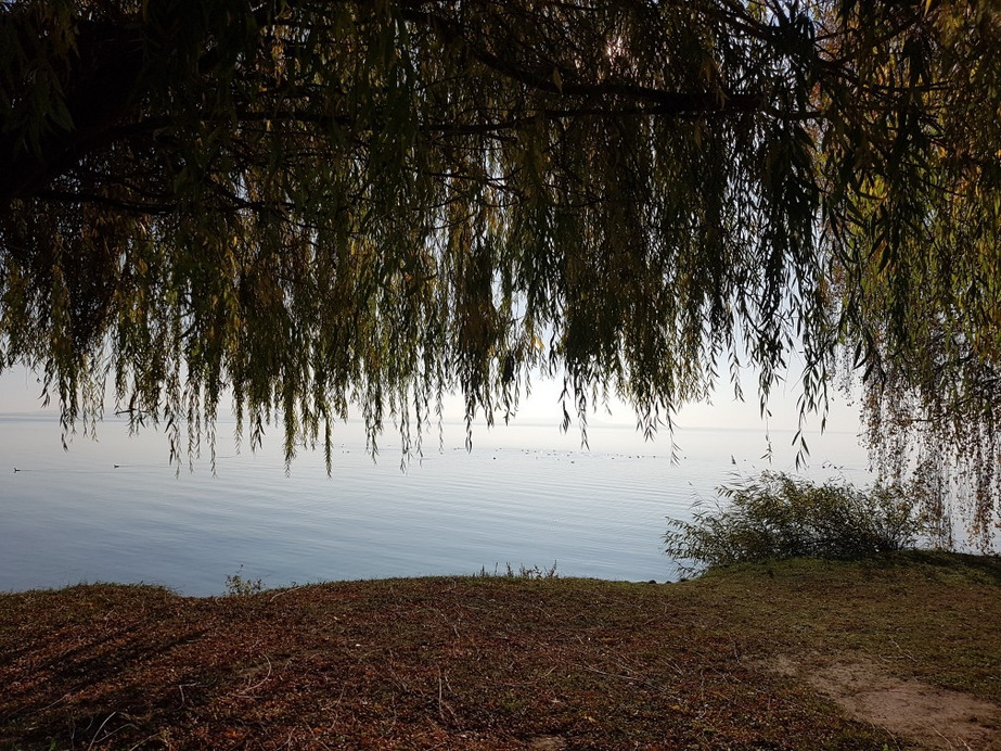 Balatonakali